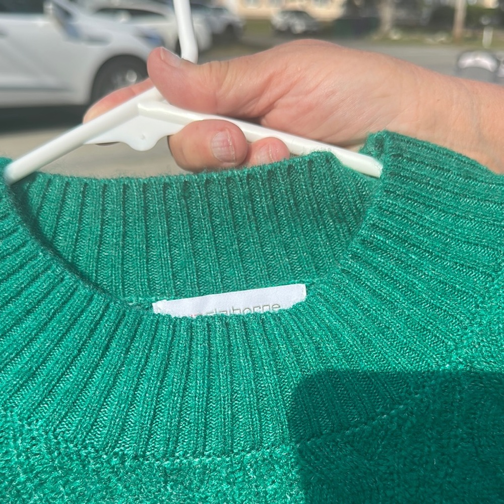 Liz Claiborne Green and Black Turtleneck Sweater - Picture 5 of 5